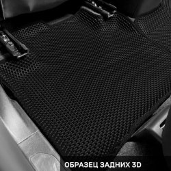 Левый пассажир