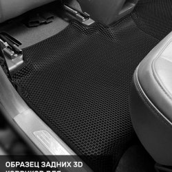 Левый пассажир