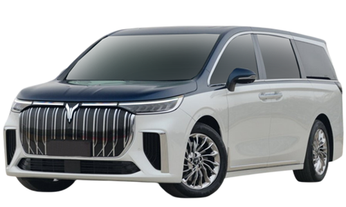 2D коврики EVA в салон и багажник  на Voyah Dream (2021-н.в)